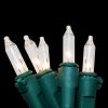 Mini String Lights- Clear- 2 Packs of 100