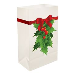 Plastic Luminaria Bags-Holly- 12ct