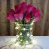 Bright White Mini LED String Lights- 3 Pack- 20 Count