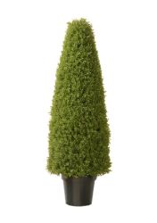 48"" Boxwood Tree w/ Green Pot