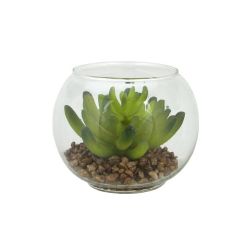 4.5"" Decorative Artificial Green Succulent Plant in Clear Round Glass Vase
