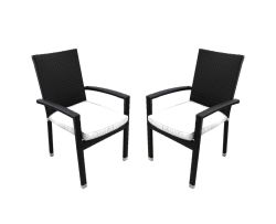 Set of 2 Black Resin Wicker Outdoor Patio Furniture Dining Chairs - White Cushions