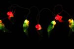 Set of 10 Beach Party Summer Garden Patio Colorful Tropical Parrot Bird Christmas Lights-White Wire