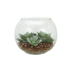 4.5"" Decorative Artificial Green Echeveria Succulent Plant in Clear Round Glass Vase