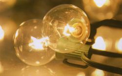 Set of 10 Clear G40 Globe Patio or Garden Christmas Lights - Green Wire