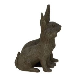 Endearing ps rabbit